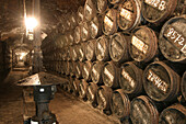 Old winery in Rioja wine region, Spain, Lopez Heredia cellar, Haro