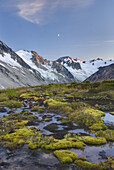 Snowmelt stream flowing through green moss in balpine basin, unnamed glaciated peaks of Boulder/Salal Divide are in the distance, Coast Range British Columbia Canada