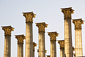 False roman columns for theatre at Roman Forum, Rome. Lazio, Italy