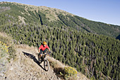 Man mt biking, Sun Valley, Idaho, USA