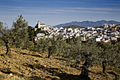 Alozaina. Serrania de Ronda, Malaga province, Andalucia, Spain