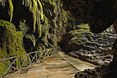 Piedra River  Cave Iris inside the Cola de Caballo Waterfall at Monasterio de Piedra  Nuevalos  Zaragoza province  Aragon  Spain