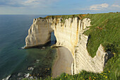 Falaise near Étretat  Côte dAlbatre  Haute-Normandie  Normandy  France