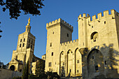 Papal Palace Palais des Papes and Notre Dame des Doms Cathedral  Avignon  Vaucluse  Provence-Alpes-Côte dAzur  Rhone valley  Provence  France