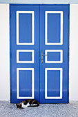 Cat, Door, Greece, Greek, Island, Santorini, Thera, Thira, N45-764384, agefotostock