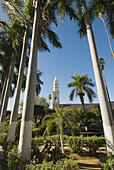 Palm trees in the Plaza de Armas main square, El Fuerte, Mexico
