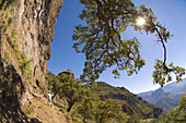 The Urique Canyon, the deepest canyon in the Sierra Tarahumara at 6, 200 feet, is one of six distinct canyons that make up the Copper Canyon Barranca del Cobre, Chihuahua, Mexico