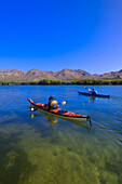 Sea kayaking in the salt marsh mangroves near Bahia Amortajada, Isla San Jose, Sea of Cortes, Baja California Sur, Mexico