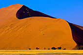 Sossusvlei Sand Dunes highest dunes in the world, Namib Desert, Namib-Naukluft National Park, Namibia