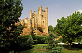 Castle. Valencia de Don Juan. León province. Spain