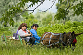 Women on a donkey cart, Danube valley, Northern Bulgaria