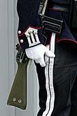 Detail of Royal Guard at the Royal Palace, Oslo, Norway