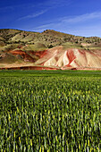 Painted Hills, John Day Fossil Beds, Oregon, USA