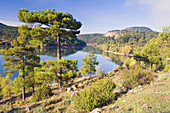 Toba reservoir. Castilla-La Mancha. Spain.