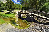 Puente sobre el arroyo de la Hoz. Castilla León. España.