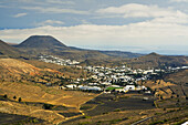 Haría. Lanzarote. Islas Canarias. España.