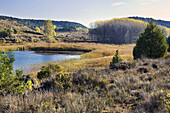 Laguna Tinaja. Lagunas de Ruidera. Castilla la Mancha. España.