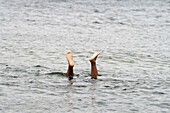 A swimmer sticks her feet out of the water