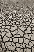 France, Charente, Isle de Ré, salt marshes: dry sludge