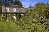 France, Ile de france, park, castle, breteuil: apple orchard