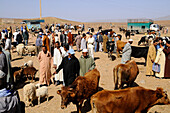People at the market in the sunlight, Tinezouline, Draa valley, South Morocco, Morocco, Africa