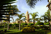 Minaret of the Koutoubia Mosque behind palm trees, Marrakesh, South Morocco, Morocco, Africa
