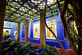 Blue walls at the Gardens of Majorelle, Marrakesh, South Morocco, Morocco, Africa