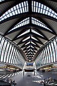 TGV station at Lyon airport by architect Santiago Calatrava, Lyon, Rhone Alps,  France