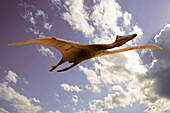 Spielzeug Flugsaurier vor Wolkenhimmel
