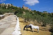 Europe, Spain, Andalucia, Zufre, Sierra Morena