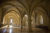 Cistercian monastery of Santa Maria de Poblet. Conca de Barbera, Tarragona province, Catalonia, Spain
