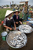 Vietnam  Selling fish at small market in saigon
