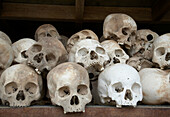 Cambodia  The Killing Fields National Memorial, Phnom Penh  Skulls of victims killed by Khmer Rouge
