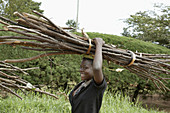 UGANDA  Girls carrying firewood on their heads, Mukono District