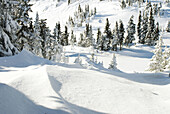 Canada, BC, Sun Peaks Resort  Early winter snow at ski resort in BCs southern interior