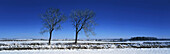 Winter, Wotton Under Edge, Gloucestershire, UK