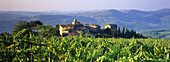 Farmhouse, Chianti, Italy