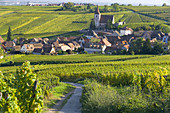 Hunawihr village and vineyards, Alsace, France
