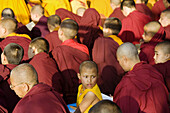 Young monks attending buddhist teachings, Bodhgaya. Gaya district, Bihar, India
