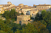 Colle di Val dElsa. Tuscany. Italy