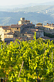 Vineyard and village. Volpaia. Tuscany. Italy