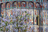 Outside of Sucevita painted monastery, Southern Bucovina, Romania