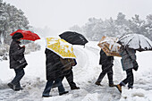 Crossing road in snow, Grand Canyon, Arizona, USA. Peopel crossing road in snow