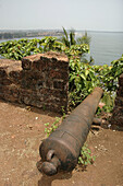 Goa India, cannon along the walls of Reis Magos Fort