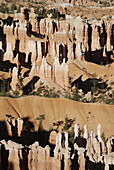 Bryce Canyon Utah, the hoodoos stone pillars