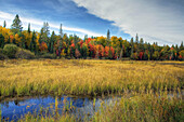 Algonquin Park in Fall, Ontario, Canada