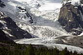 Glacier Morterash under the summit of Piz Bernina  Bernina Alps  Pontresina  Switzerland