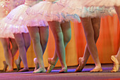 Performing Ballet Swan Lake ACTII