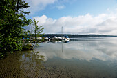 Boats at lakeshore, Werbellinsee, Eichhorst, Schorfheide, Brandenburg, Germany