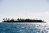 Motu Insel mit Palmen in der Raiatea Lagune, Raiatea, Gesellschaftsinseln, Französisch Polynesien, Südsee, Ozeanien
